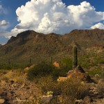 Tucson Vista