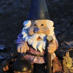 No Place Like Gnome