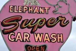 Pink Elephant
