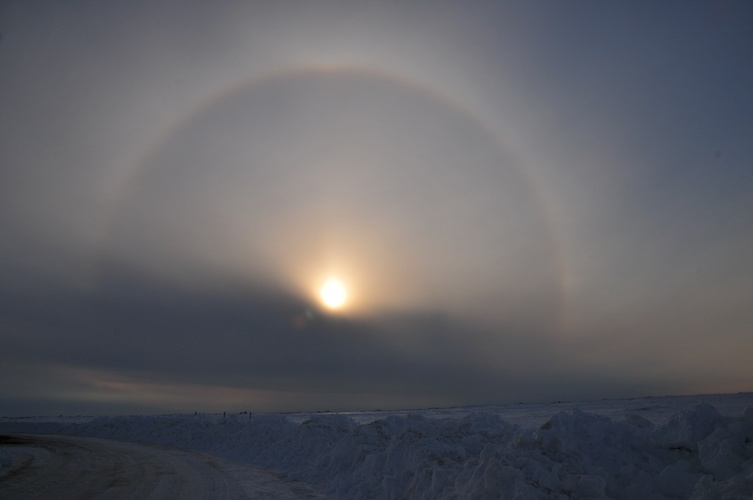 Sun Dog