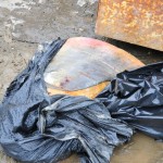 Discarded Muktuk Discarded Muktuk