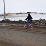 Duke on a Pink Bike Duke on a Pink Bike