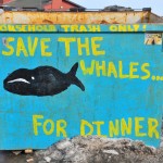 Save the Whales... for Dinner Save the Whales... for Dinner