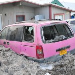 Pink Van Pink Van