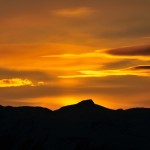 Golden Rays