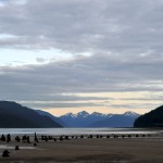 Wharf and Warehouse pilings.