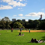 Beautiful Central Park Day.