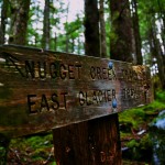 Trail Marker