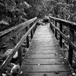 Bridge to Somewhere